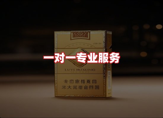 专业团队